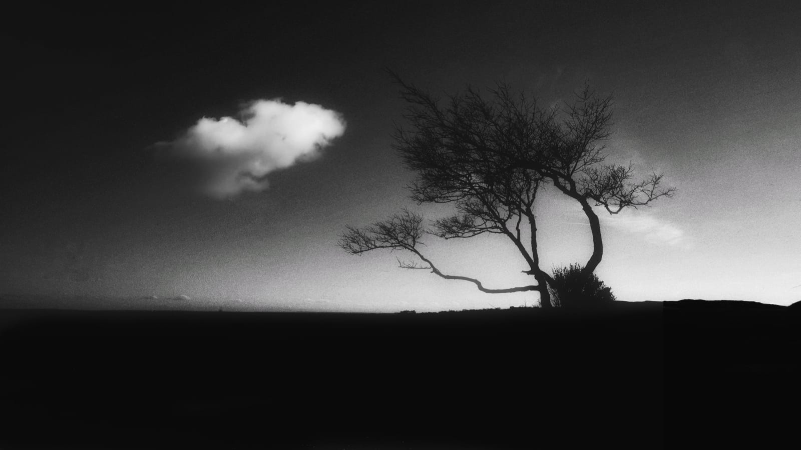 whatsapp image 2026 04 05 at 8.25.10 pm