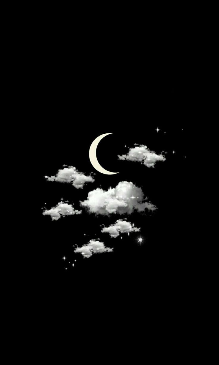 whatsapp image 2026 04 05 at 8.25.09 pm.jpeg